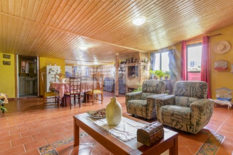 Дом в Икод-де-лос-Винос, Тенерифе, Испания 8 спален, 380м2 №102932
