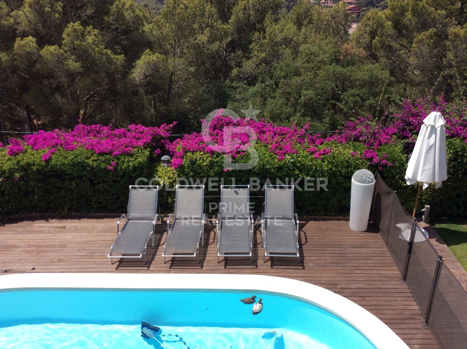 House à Palafrugell, Girona, Espagne 5 chambres, 428 m2 No. 160393