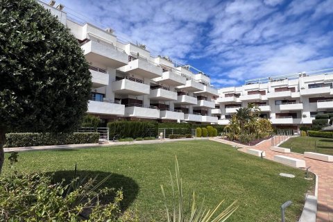 Apartament w Cabo Roig, Alicante, Hiszpania 2 sypialnie, 84 mkw. nr 180141