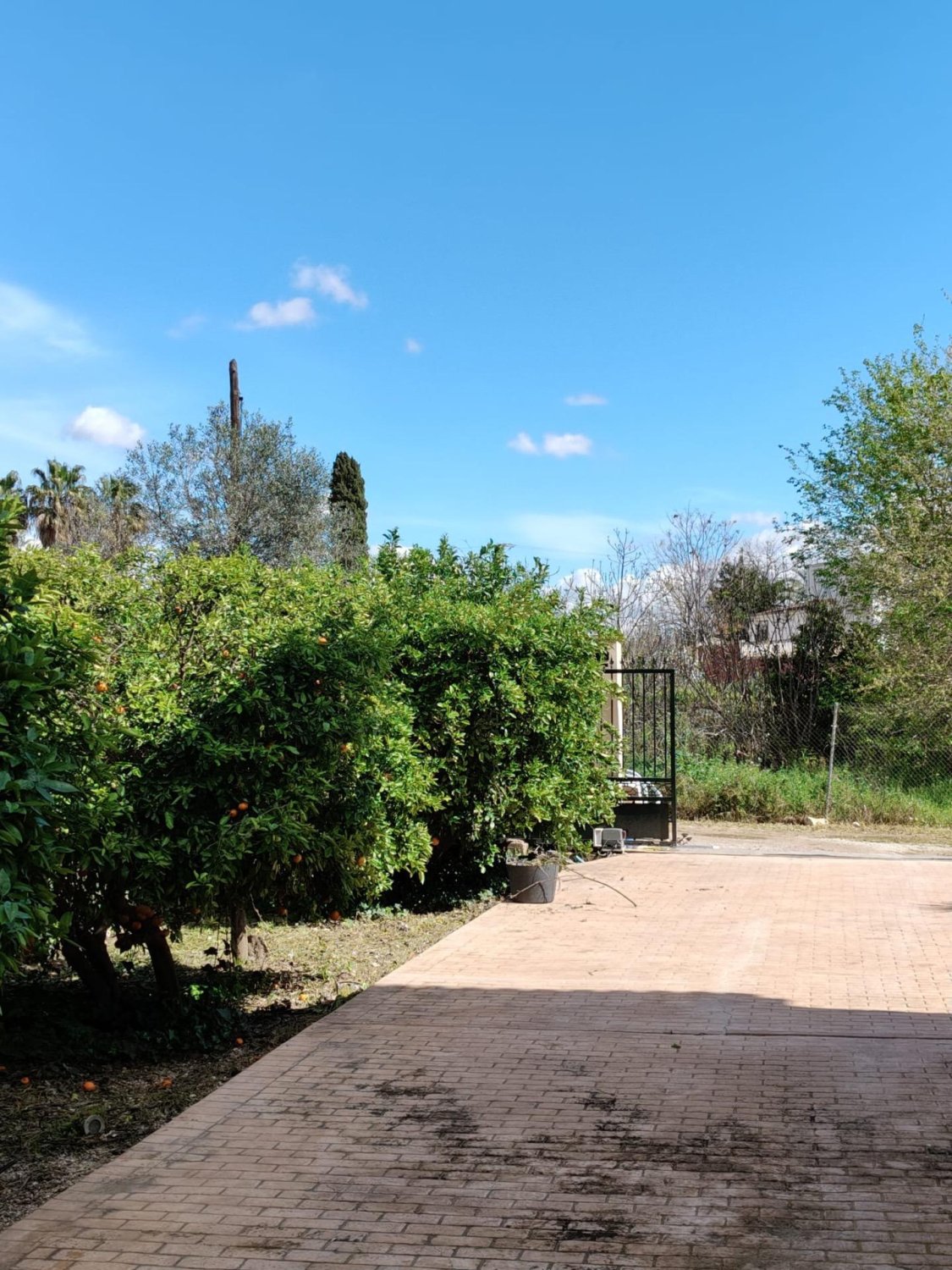 Finca in El Palmar, Murcia, Spanien 6 Schlafzimmer, 387 m2 Nr. 156259