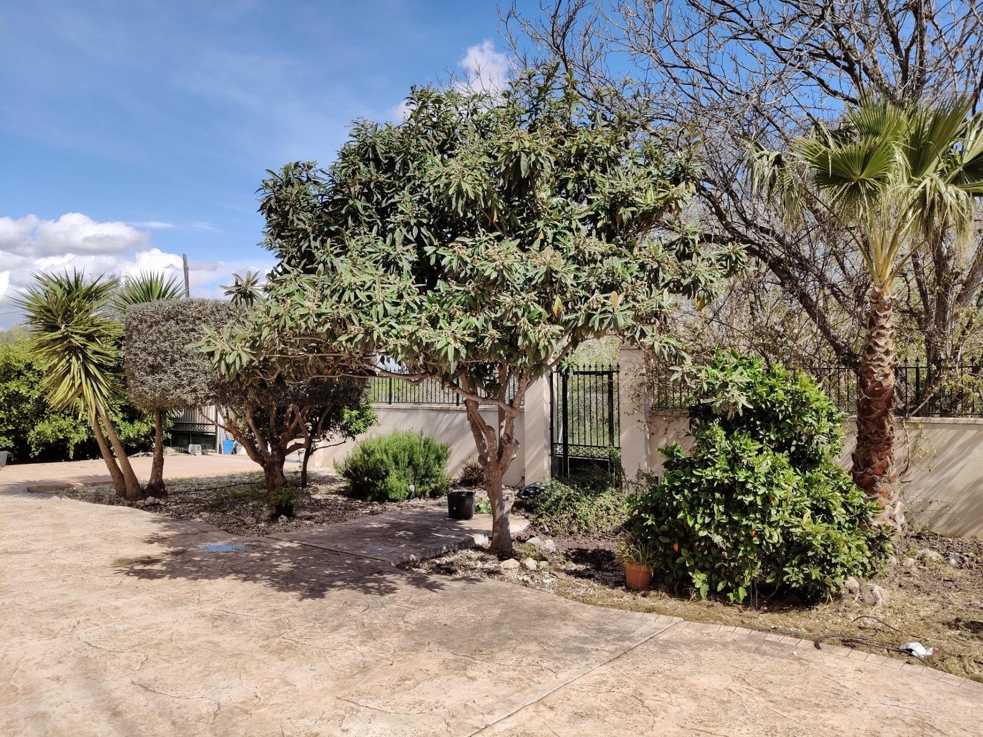 Finca in El Palmar, Murcia, Spanien 6 Schlafzimmer, 387 m2 Nr. 156259