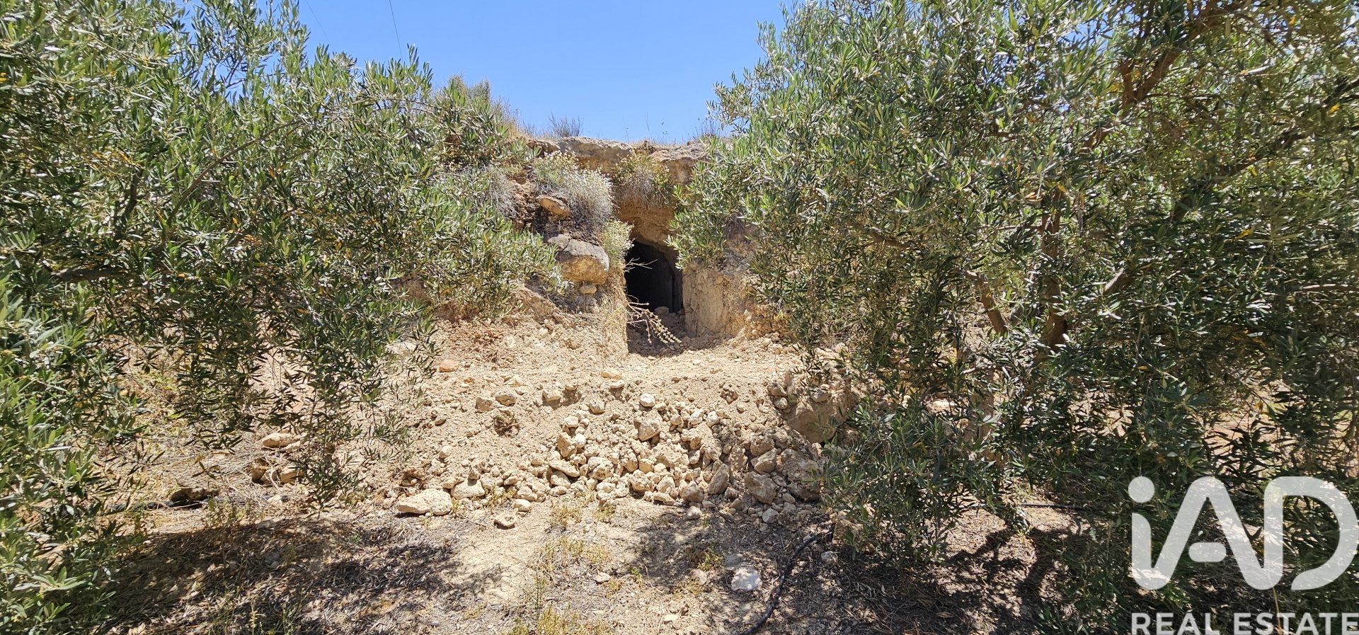 Liikekiinteistö Illar, Almeria, Espanja No. 185563
