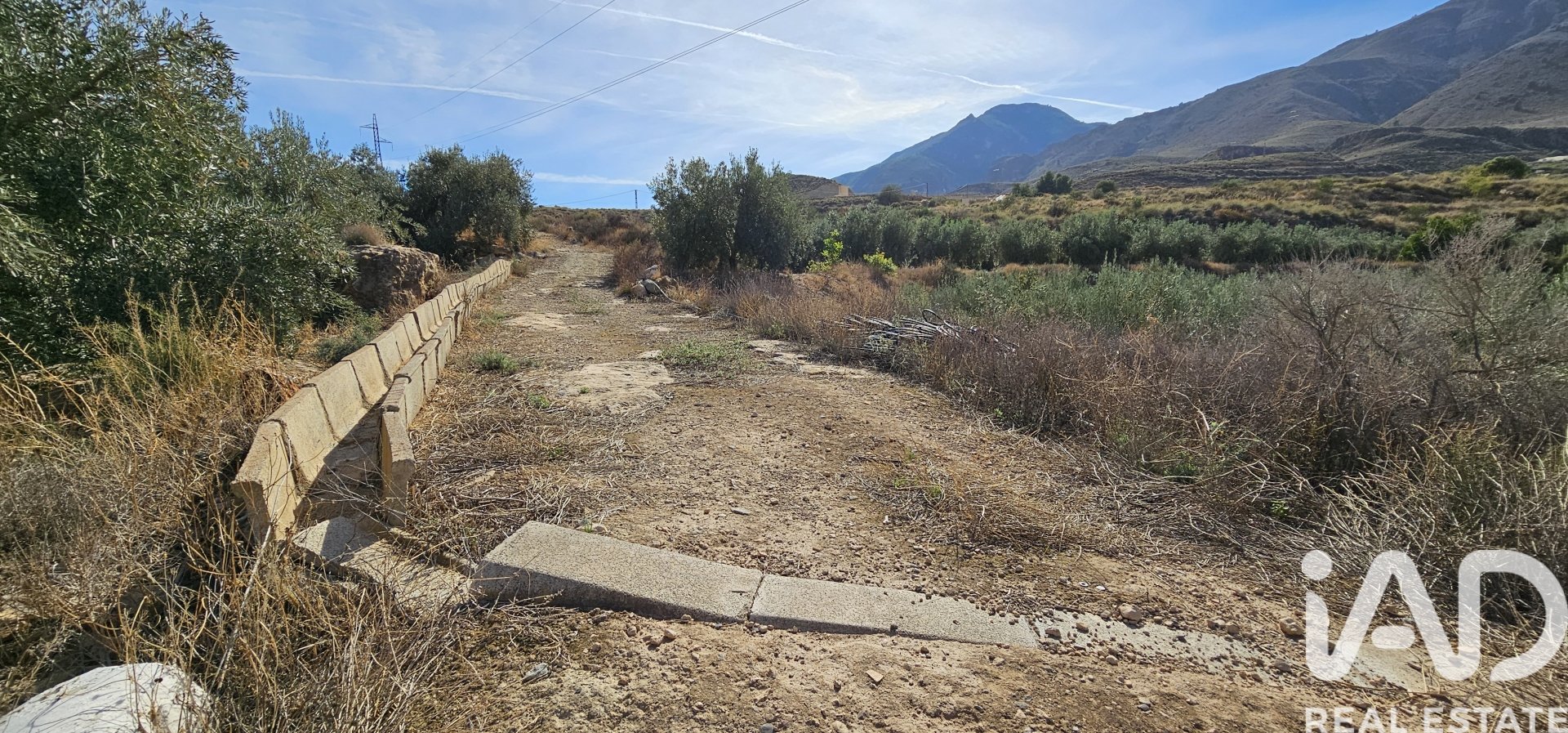 Liikekiinteistö Illar, Almeria, Espanja No. 185563