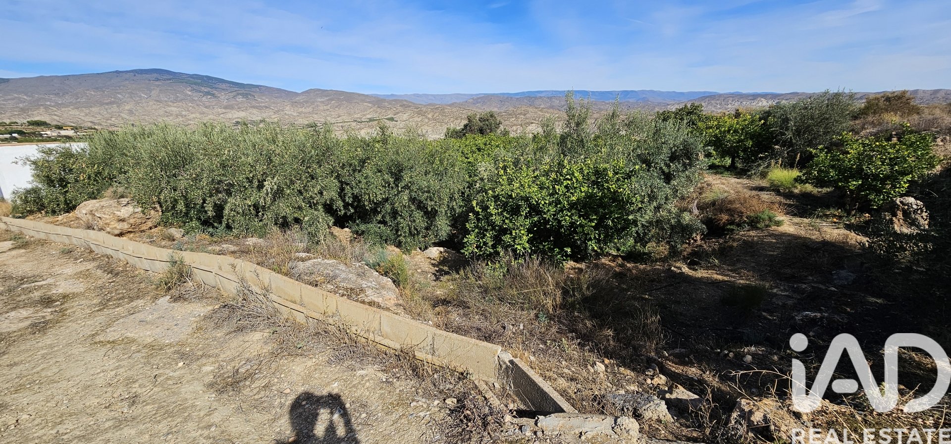 Liikekiinteistö Illar, Almeria, Espanja No. 185563