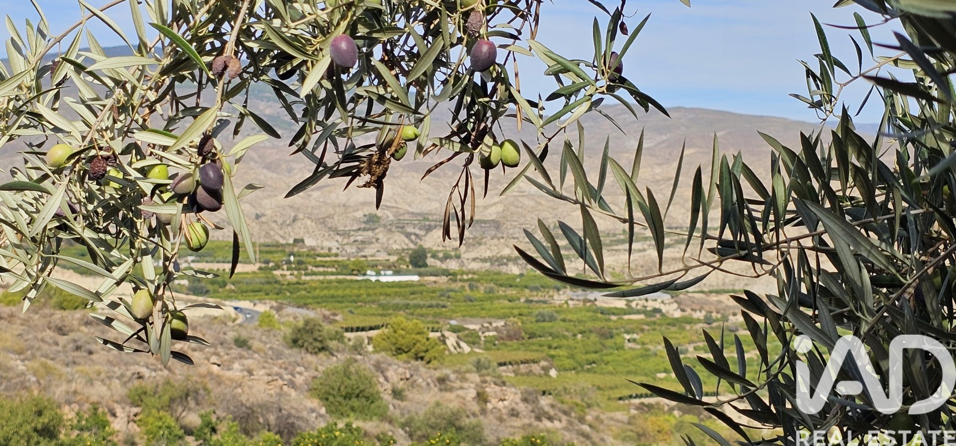 Liikekiinteistö Illar, Almeria, Espanja No. 185563