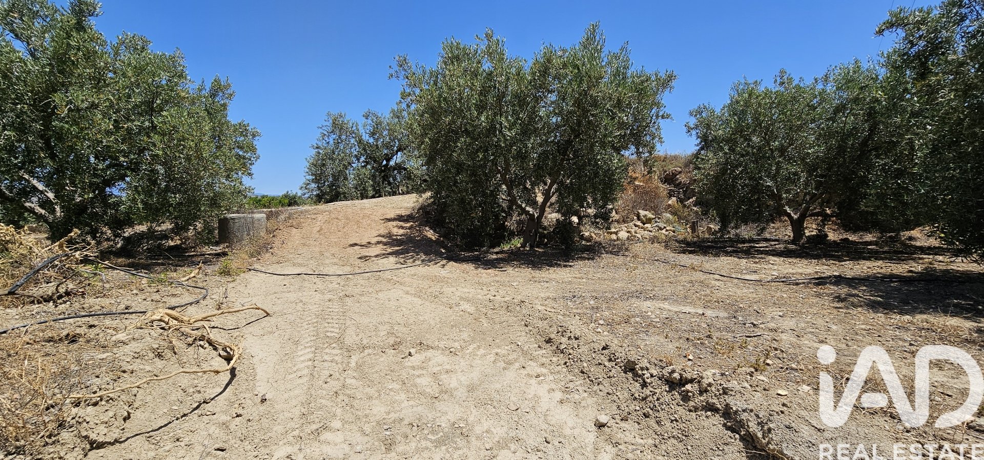 Liikekiinteistö Illar, Almeria, Espanja No. 185563