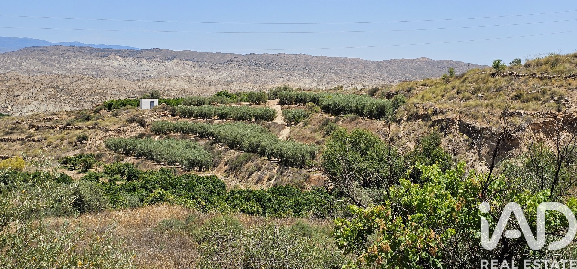 Liikekiinteistö Illar, Almeria, Espanja No. 185563