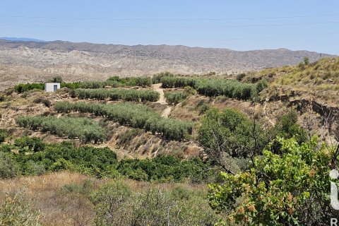 Commercial property in Illar, Almeria, Spain No. 185563