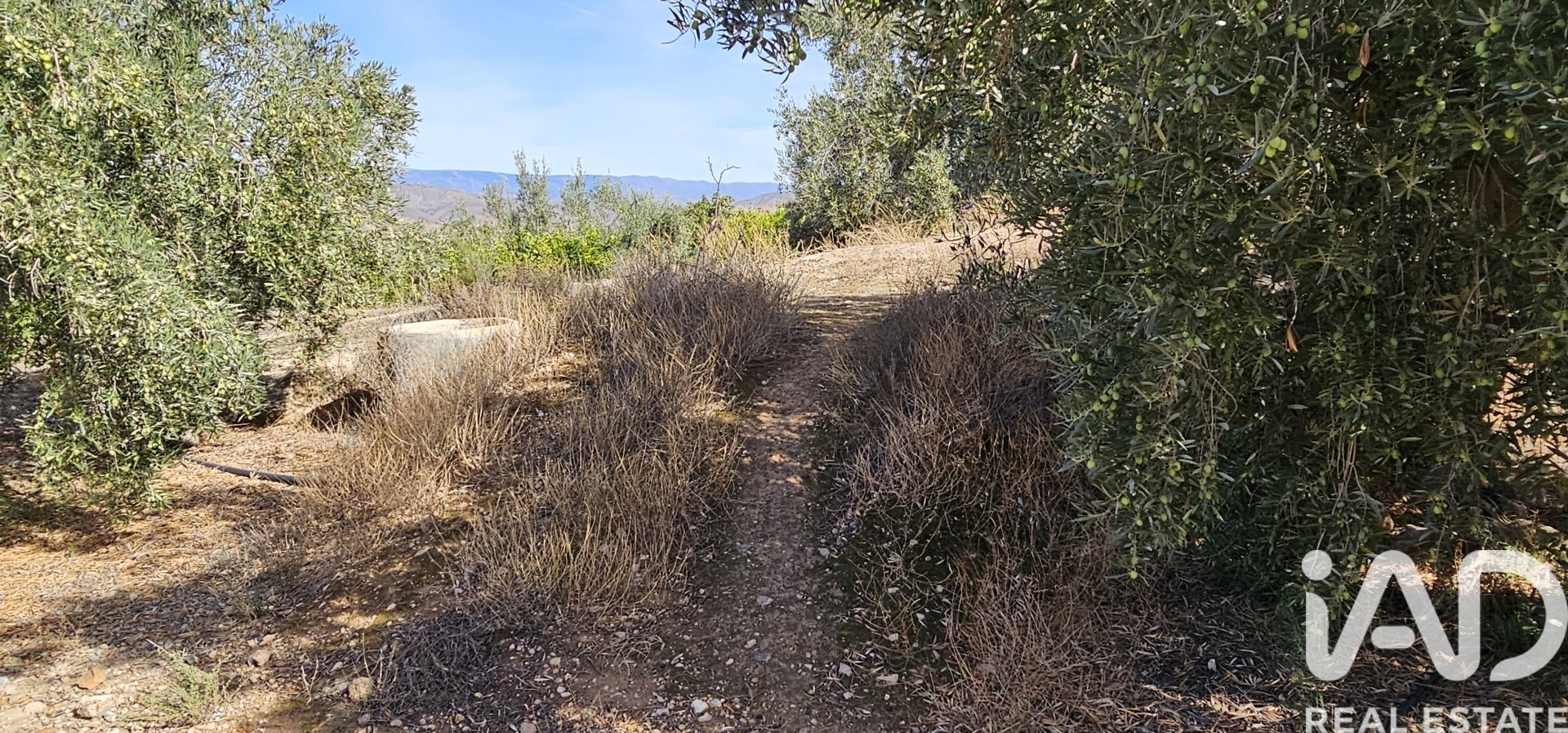 Liikekiinteistö Illar, Almeria, Espanja No. 185563