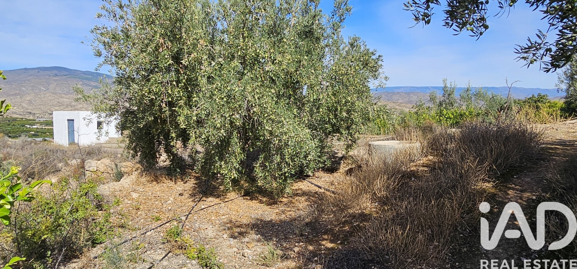 Liikekiinteistö Illar, Almeria, Espanja No. 185563