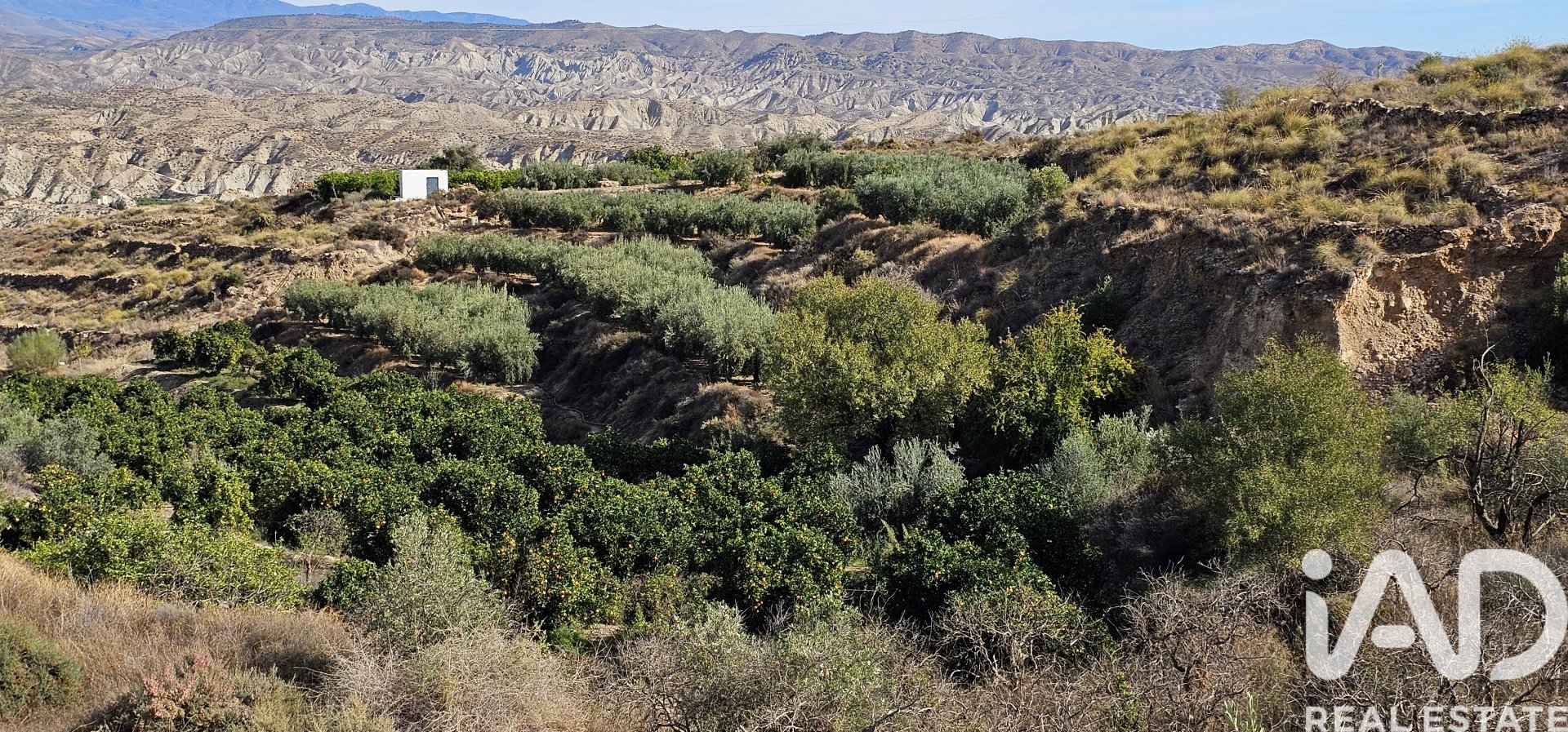 Liikekiinteistö Illar, Almeria, Espanja No. 185563