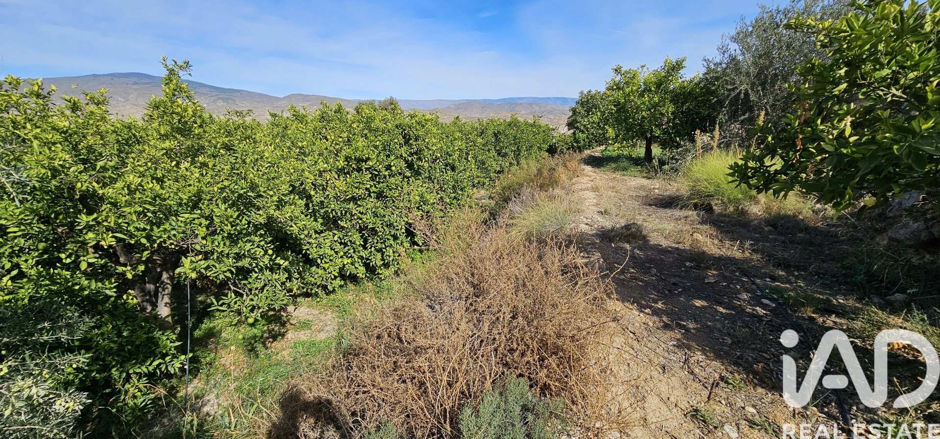 Liikekiinteistö Illar, Almeria, Espanja No. 185563