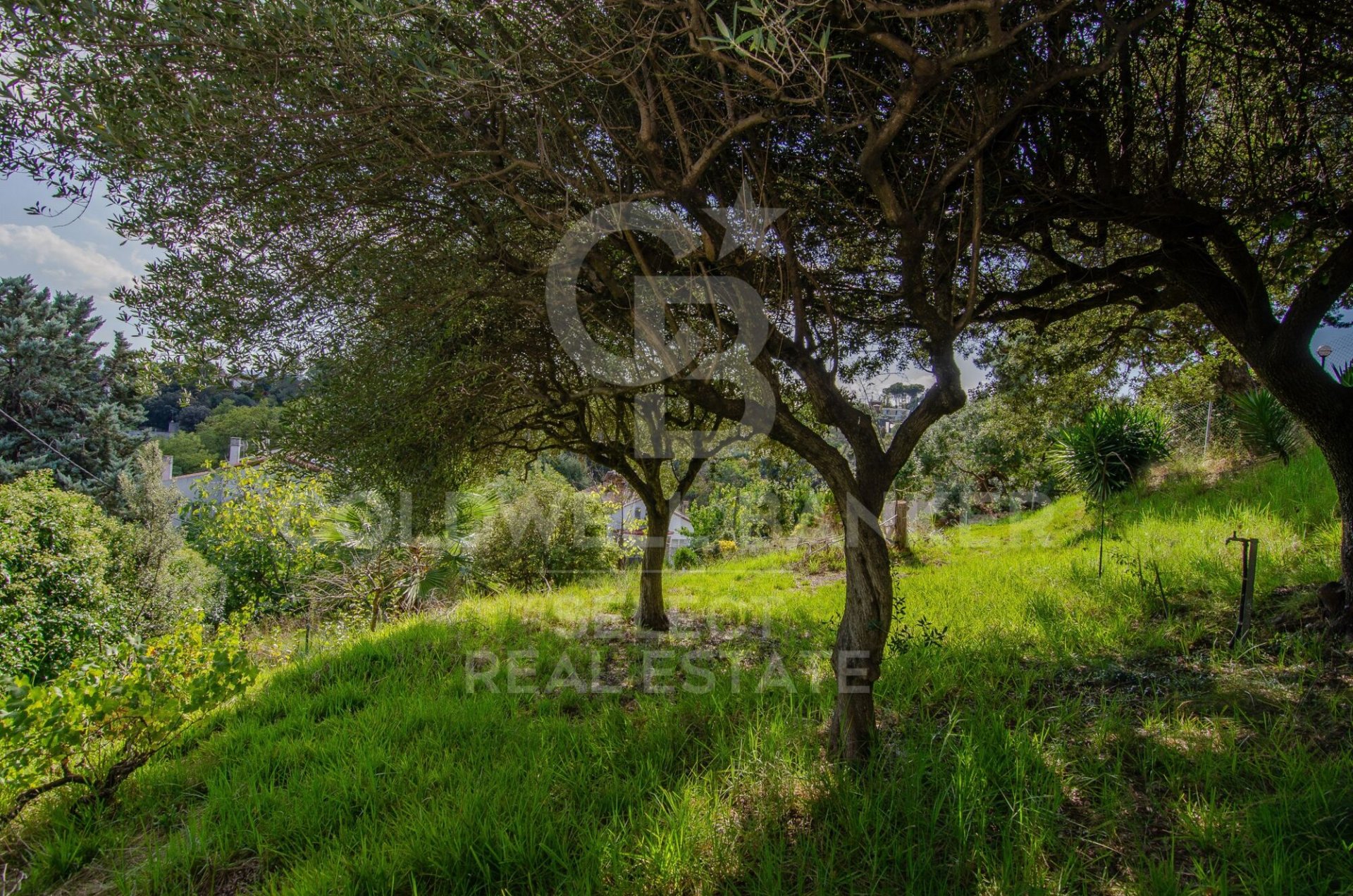 Land plot in Cerdanyola Del Valles, Barcelona, Spain 1001 sq.m. No. 179115