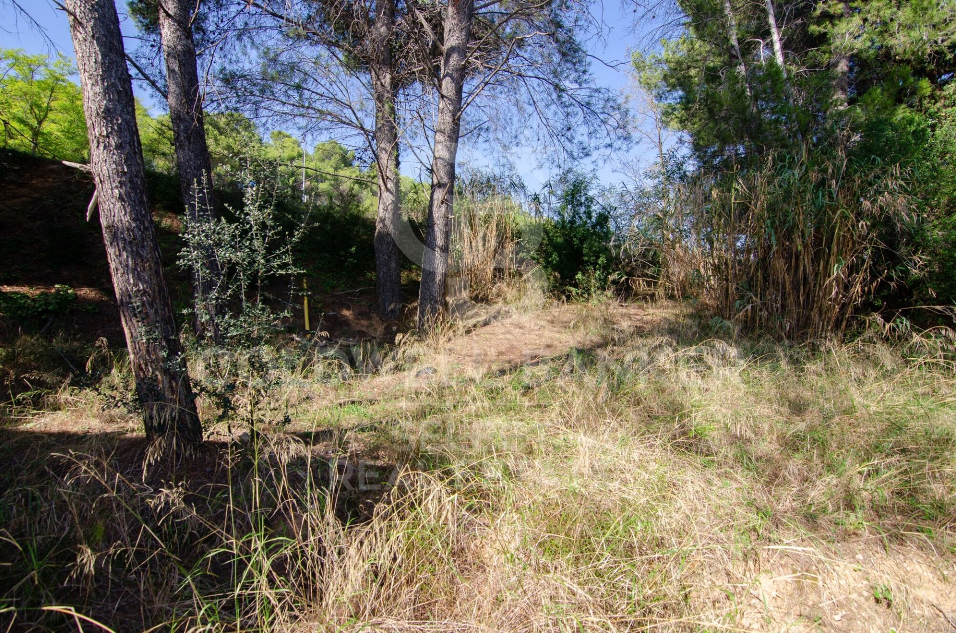 Land plot in Cerdanyola Del Valles, Barcelona, Spain 1000 sq.m. No. 179110