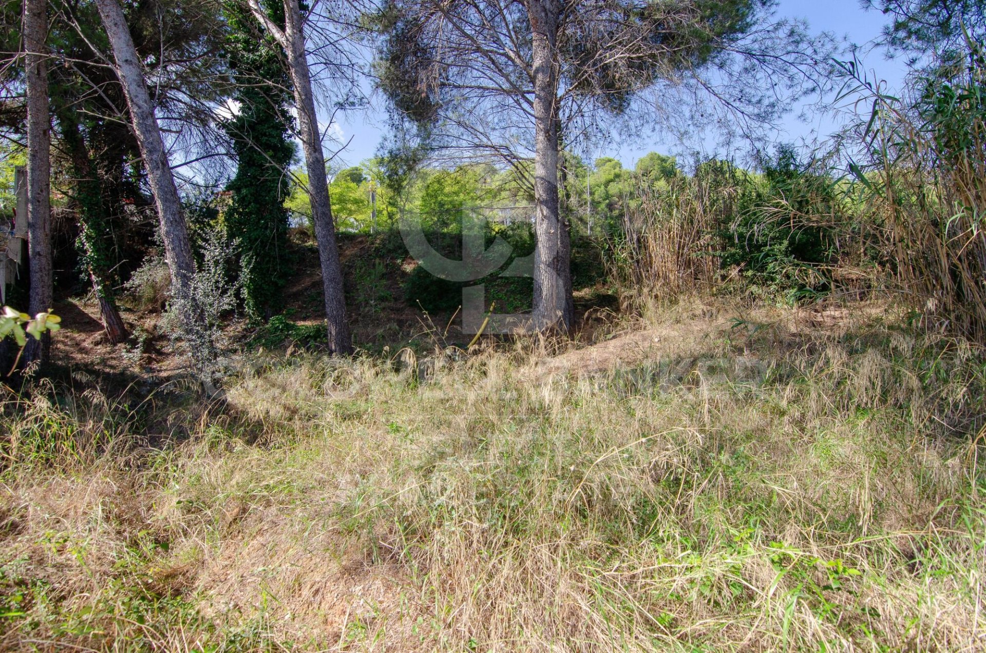 Land plot in Cerdanyola Del Valles, Barcelona, Spain 1000 sq.m. No. 179110