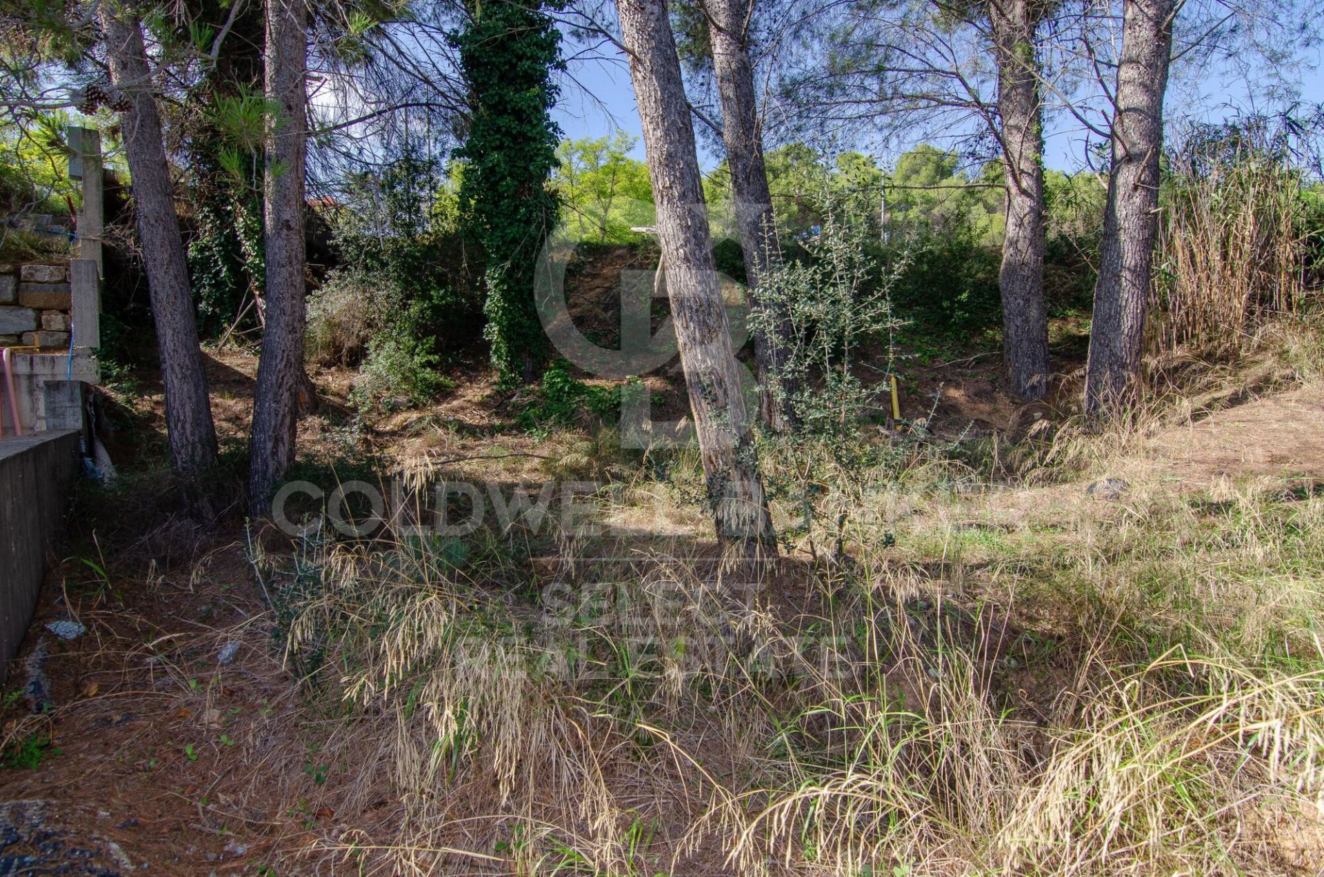 Land plot in Cerdanyola Del Valles, Barcelona, Spain 1000 sq.m. No. 179110