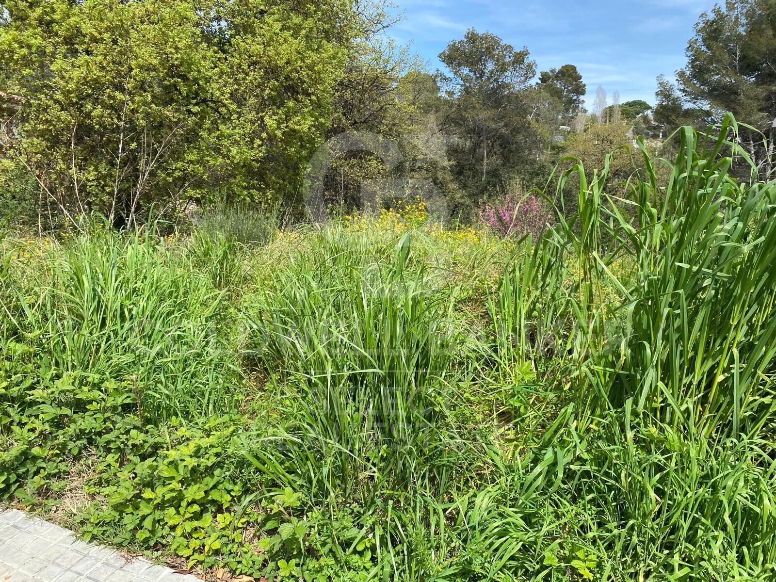 Land in Cerdanyola Del Valles, Barcelona, Spanien 1065 m2 Nr. 179106