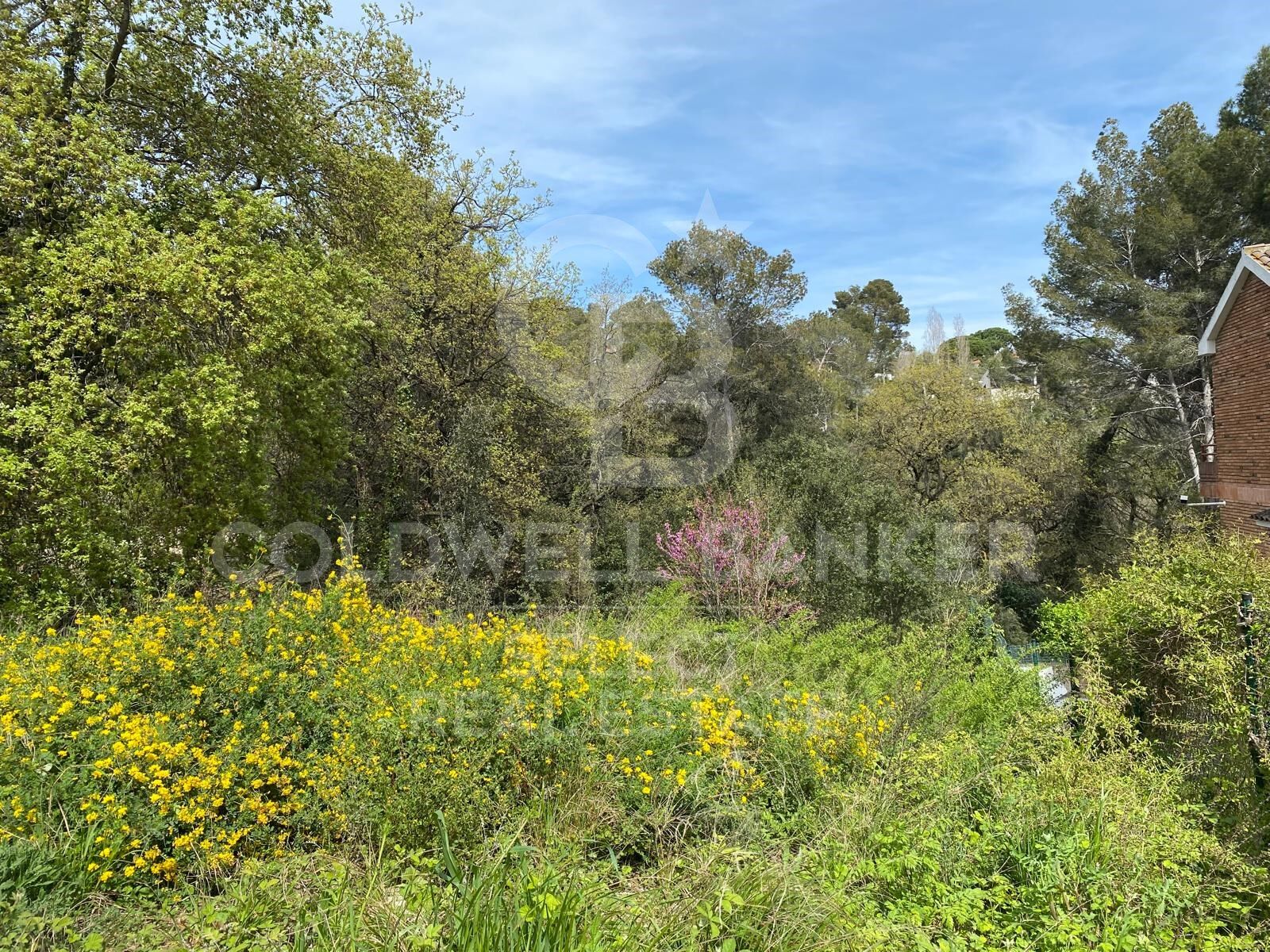 Land in Cerdanyola Del Valles, Barcelona, Spanien 1065 m2 Nr. 179106