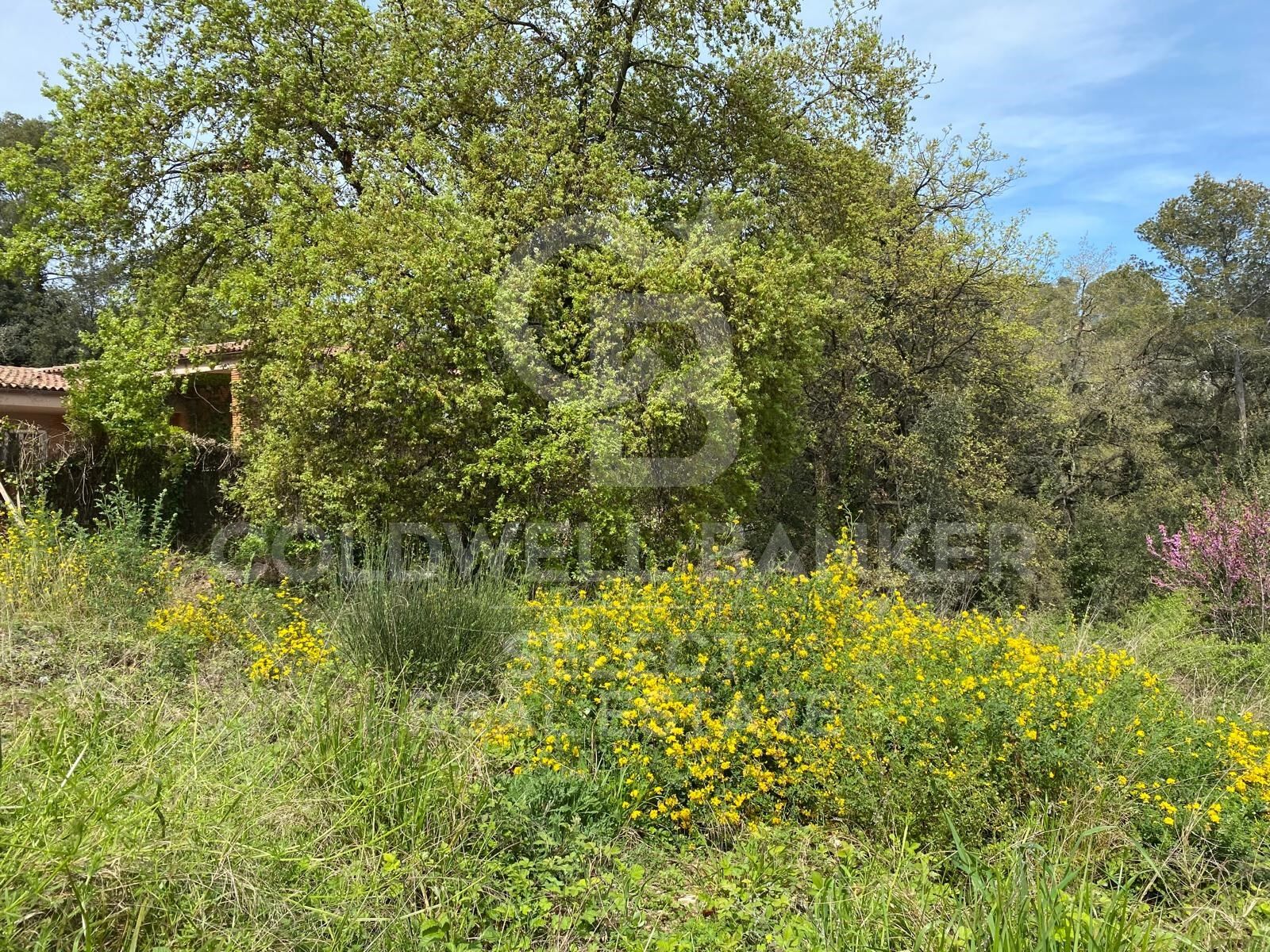 Land in Cerdanyola Del Valles, Barcelona, Spanien 1065 m2 Nr. 179106
