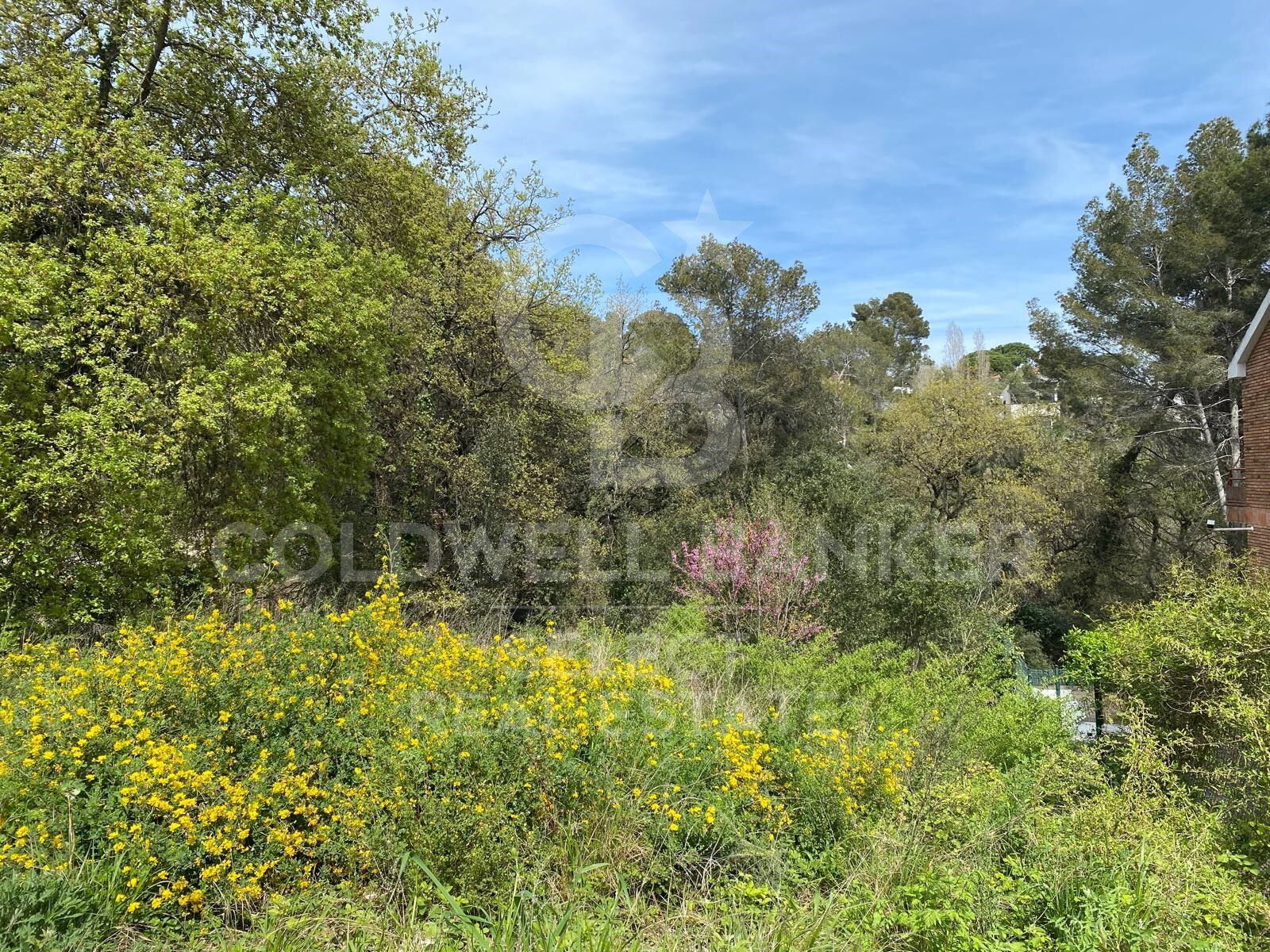 Land in Cerdanyola Del Valles, Barcelona, Spanien 1065 m2 Nr. 179106