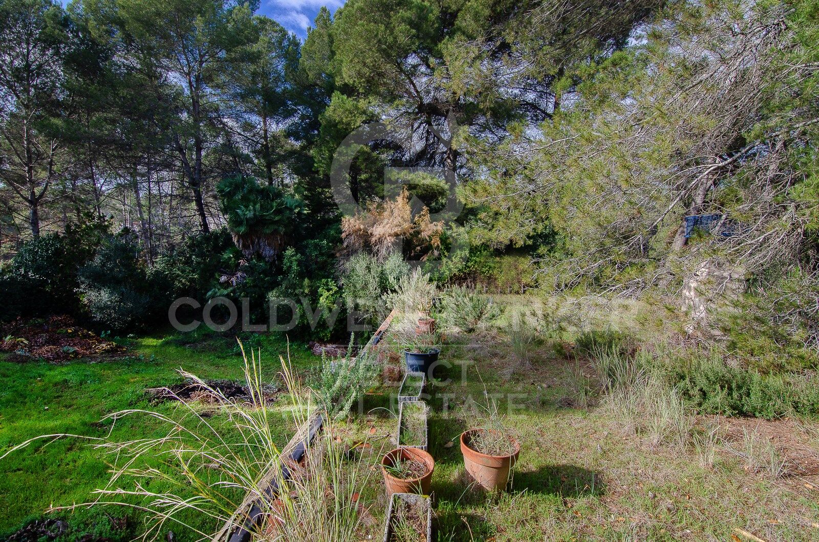 Land plot in Cerdanyola Del Valles, Barcelona, Spain 2000 sq.m. No. 179109