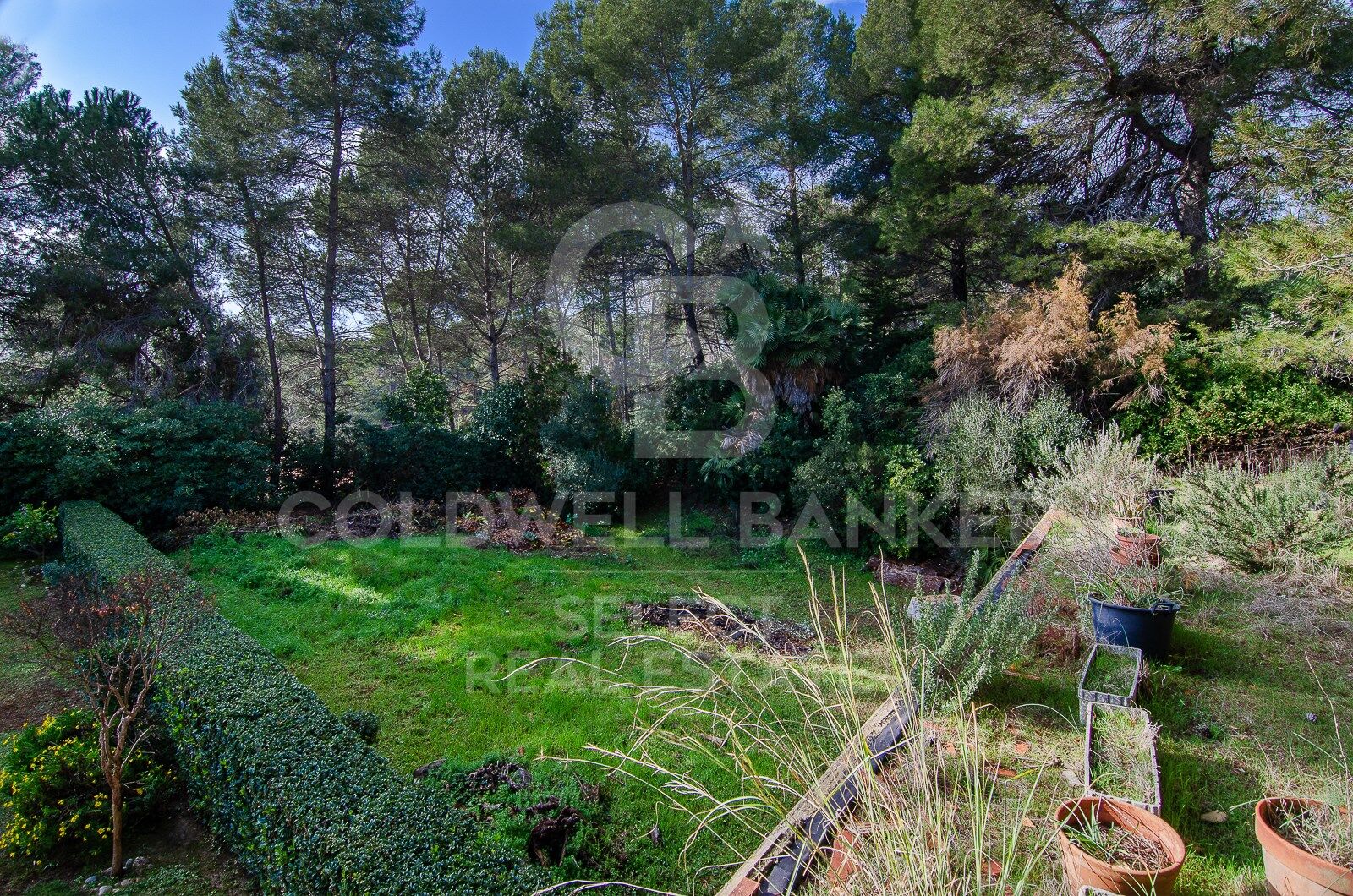 Land plot in Cerdanyola Del Valles, Barcelona, Spain 2000 sq.m. No. 179109