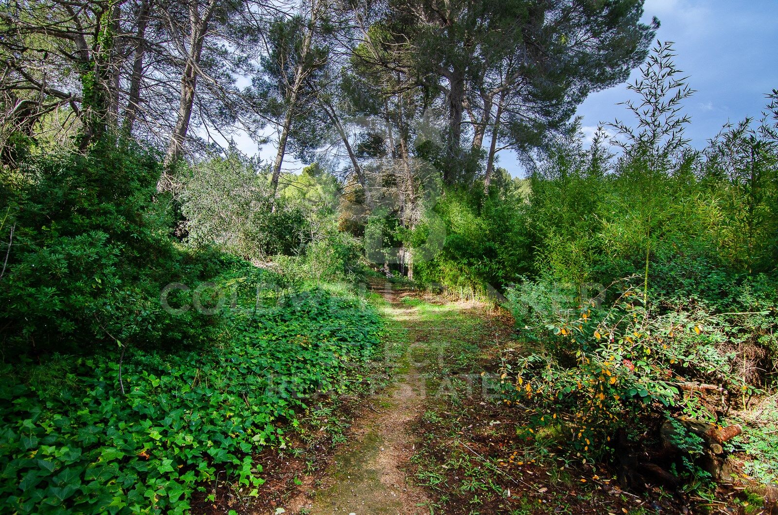 Land plot in Cerdanyola Del Valles, Barcelona, Spain 2000 sq.m. No. 179109
