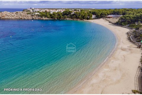 Land in Es Mercadal, Menorca, Spanien Nr. 65246