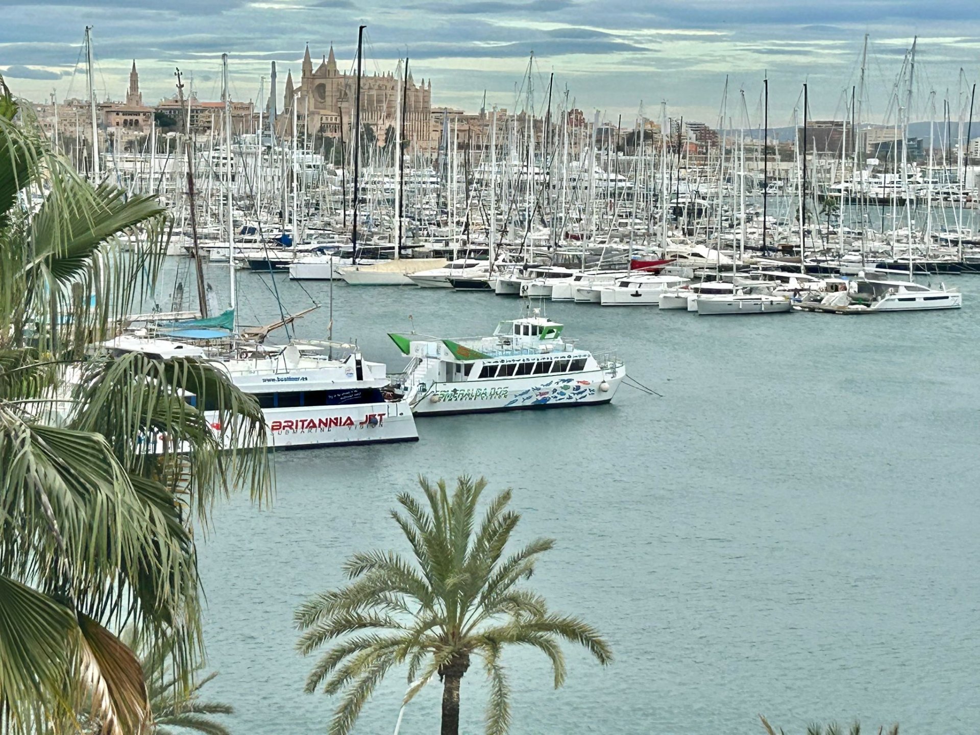 Apartment in Palma de Majorca, Mallorca, Spain 2 bedrooms, 73 sq.m. No. 194968