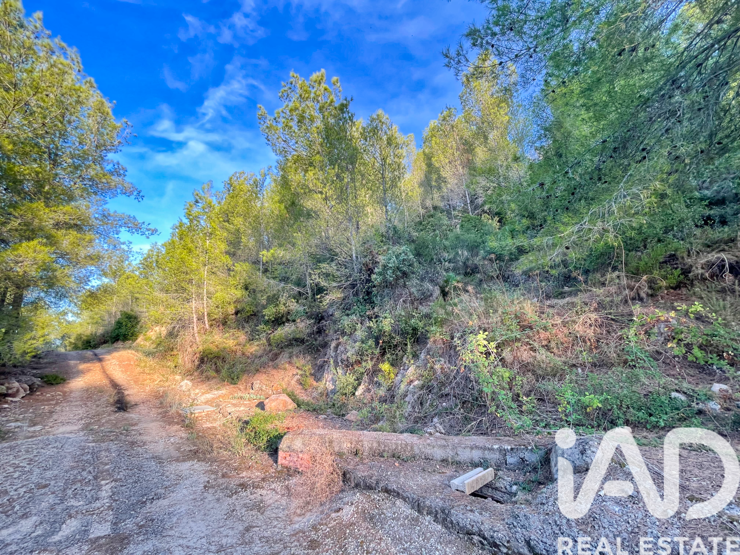 Land in Ador, Valencia, Spanien 12880 m2 Nr. 195148