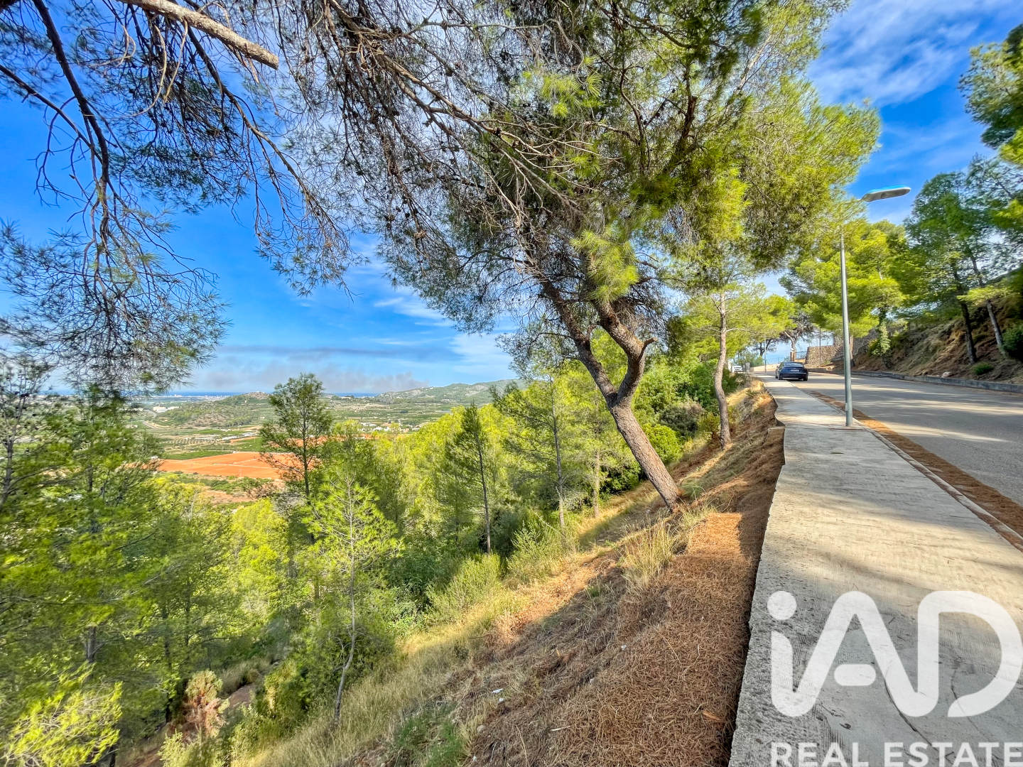 Land in Ador, Valencia, Spanien 12880 m2 Nr. 195148