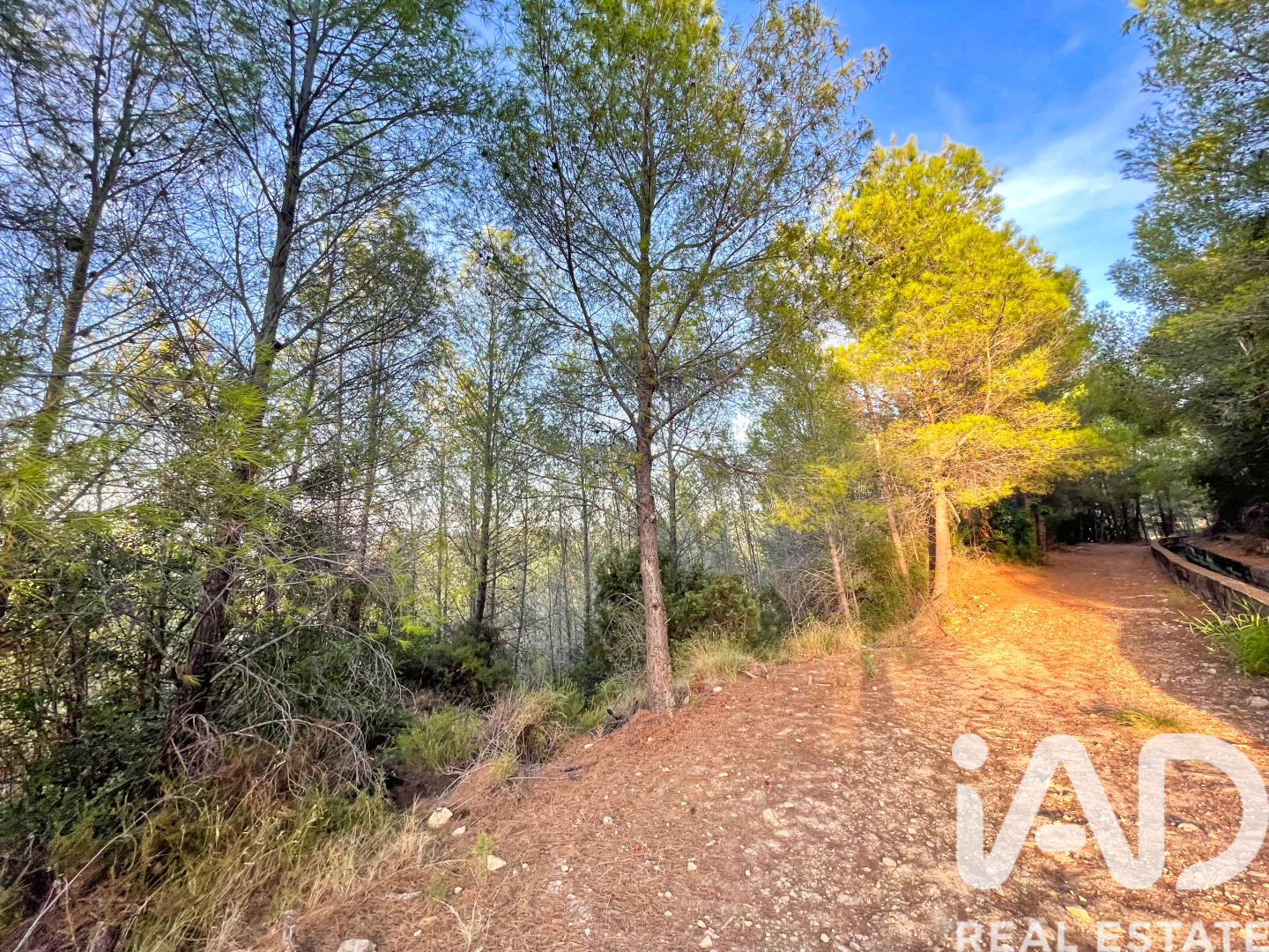 Land in Ador, Valencia, Spanien 12880 m2 Nr. 195148