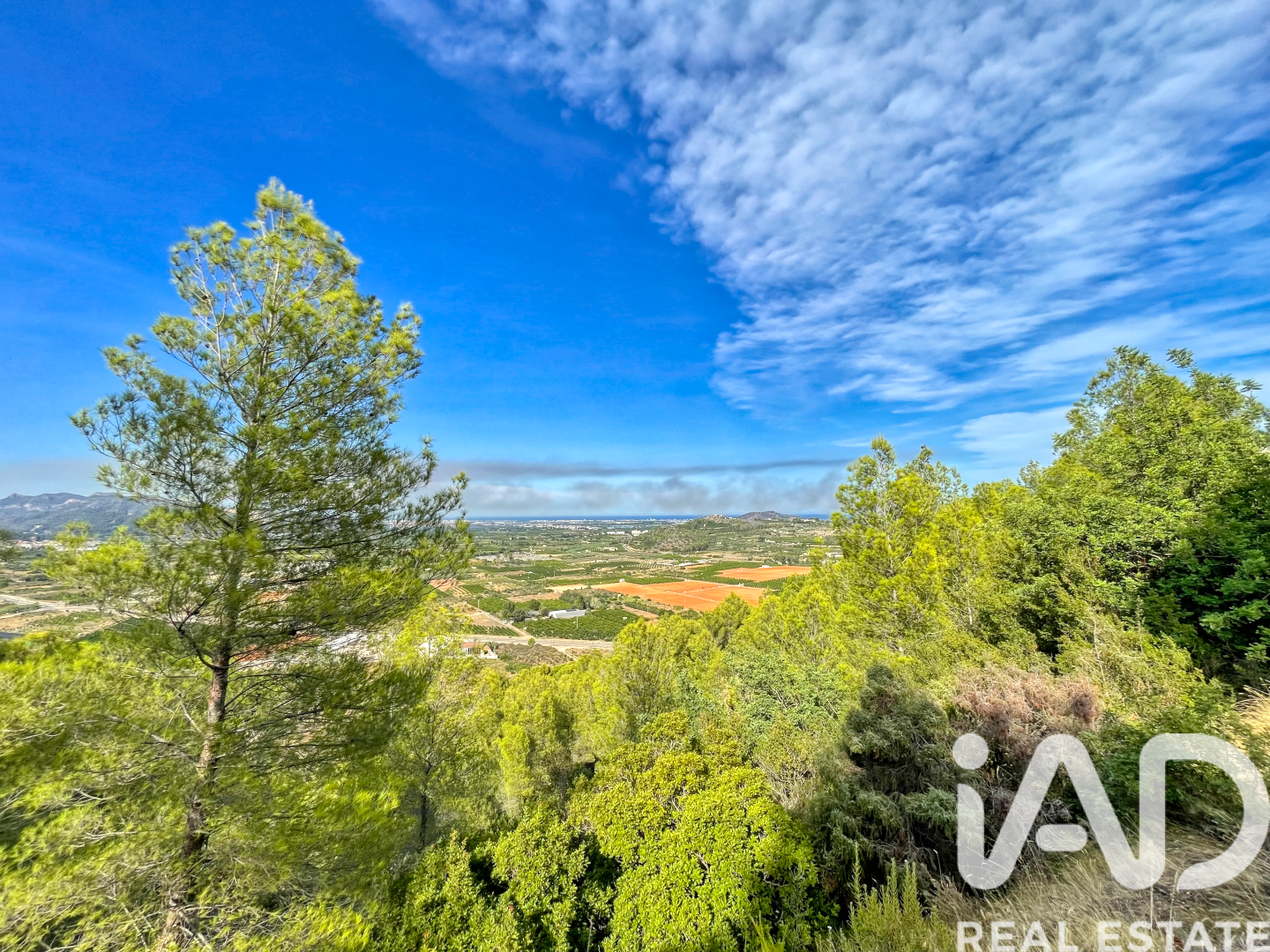 Land in Ador, Valencia, Spanien 12880 m2 Nr. 195148
