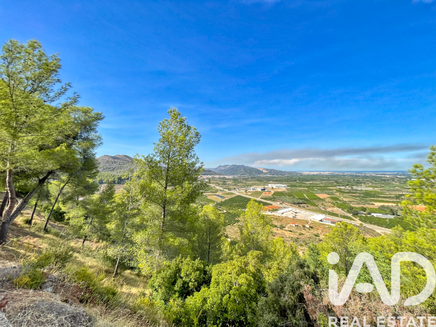 Land in Ador, Valencia, Spanien 12880 m2 Nr. 195148