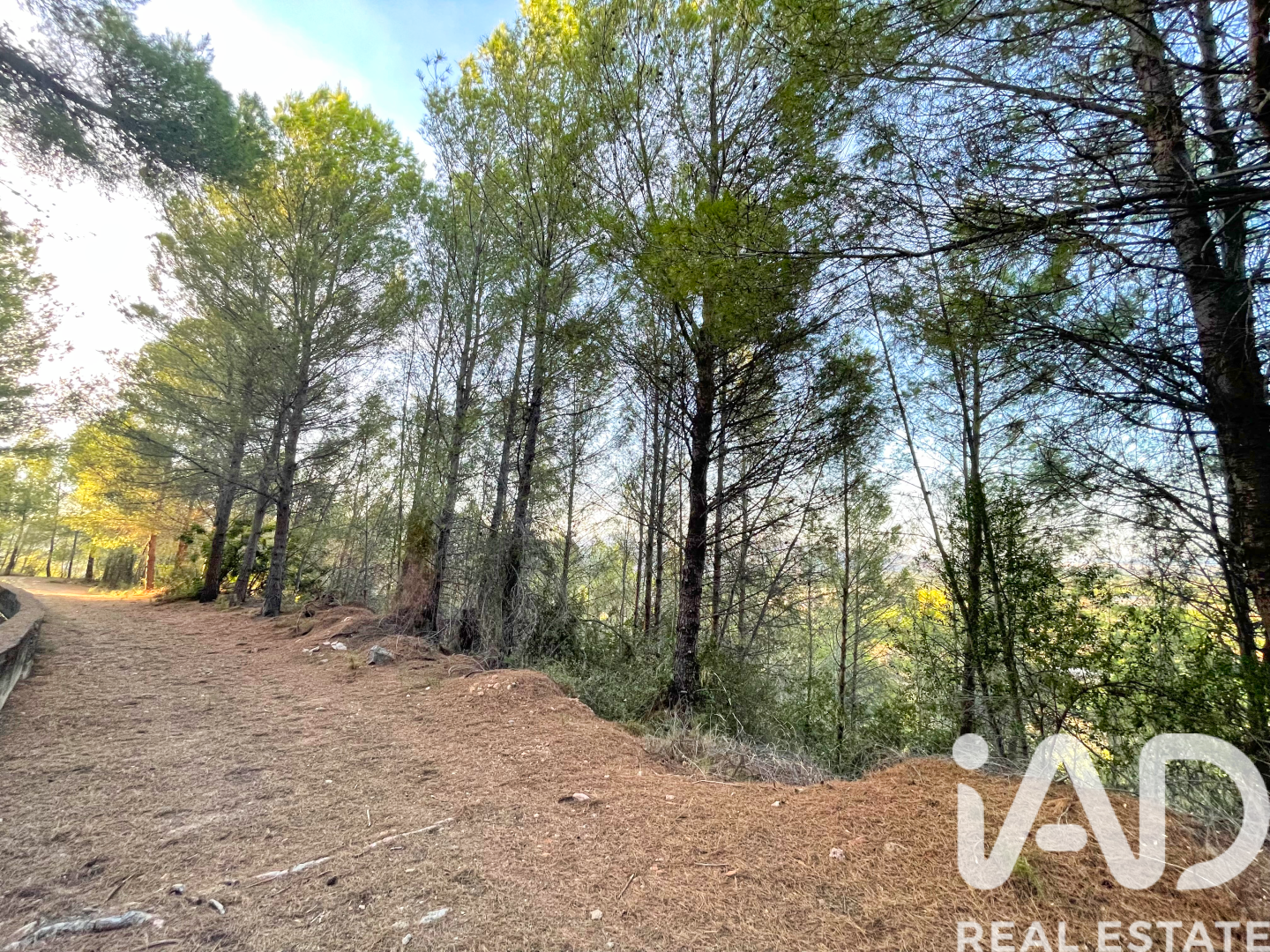 Land in Ador, Valencia, Spanien 12880 m2 Nr. 195148
