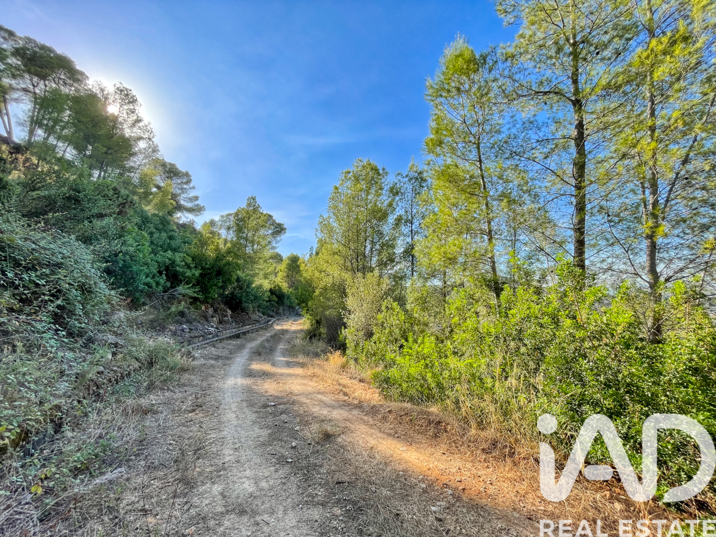 Land in Ador, Valencia, Spanien 12880 m2 Nr. 195148