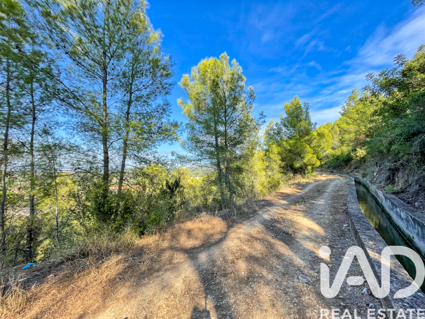 Land in Ador, Valencia, Spanien 12880 m2 Nr. 195148