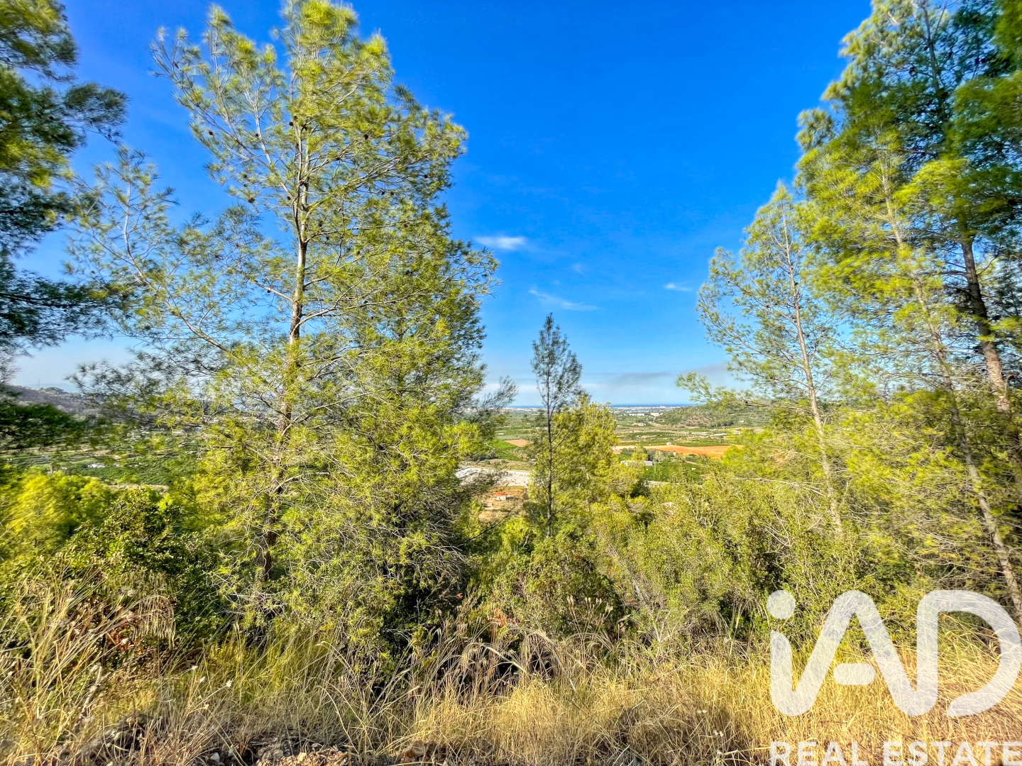 Land in Ador, Valencia, Spanien 12880 m2 Nr. 195148