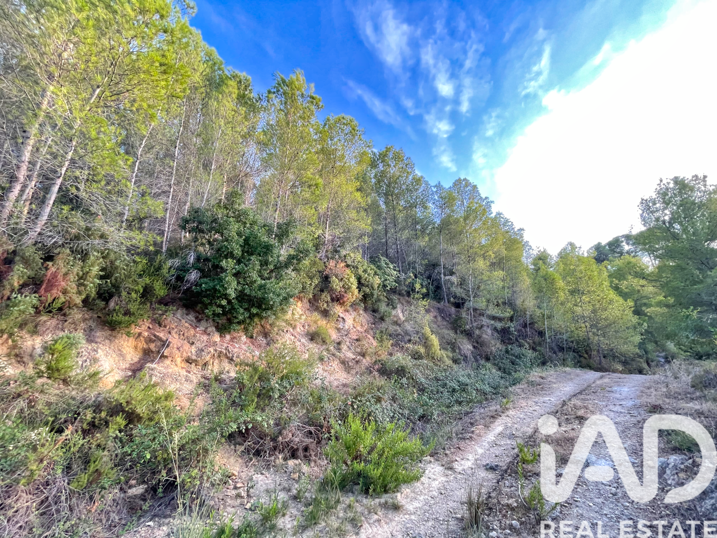 Land in Ador, Valencia, Spanien 12880 m2 Nr. 195148