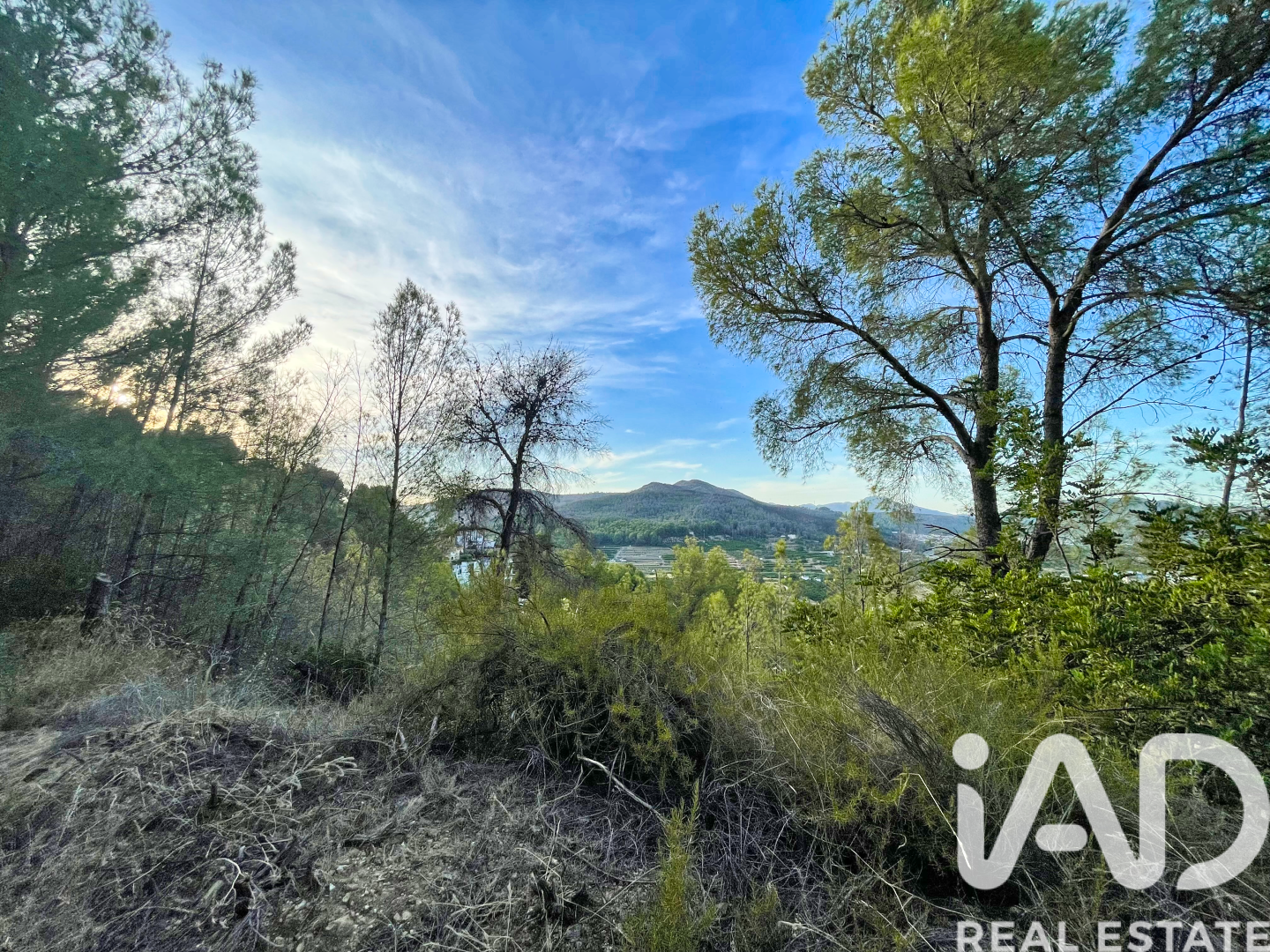 Land in Ador, Valencia, Spanien 12880 m2 Nr. 195148