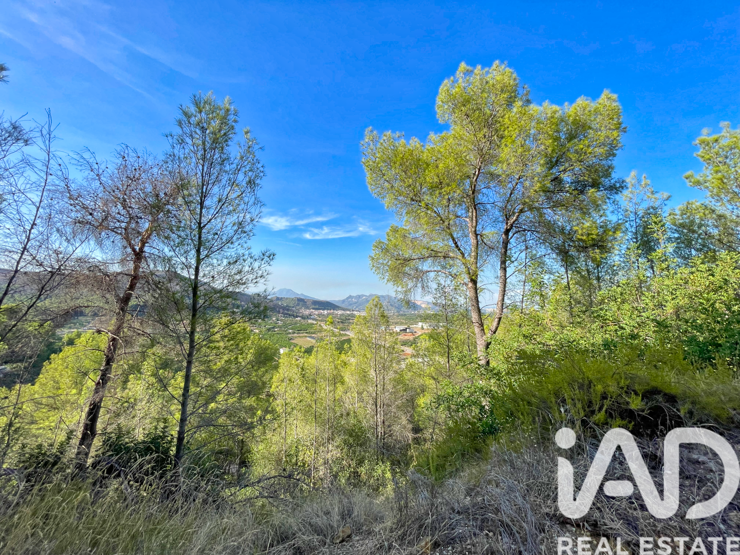 Land in Ador, Valencia, Spanien 12880 m2 Nr. 195148