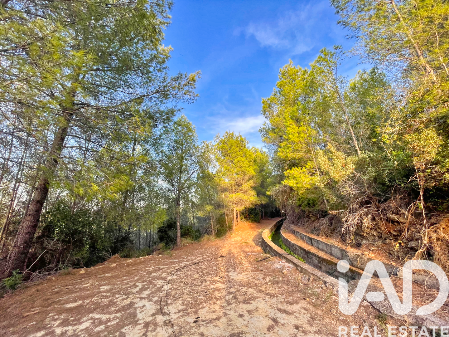 Land in Ador, Valencia, Spanien 12880 m2 Nr. 195148