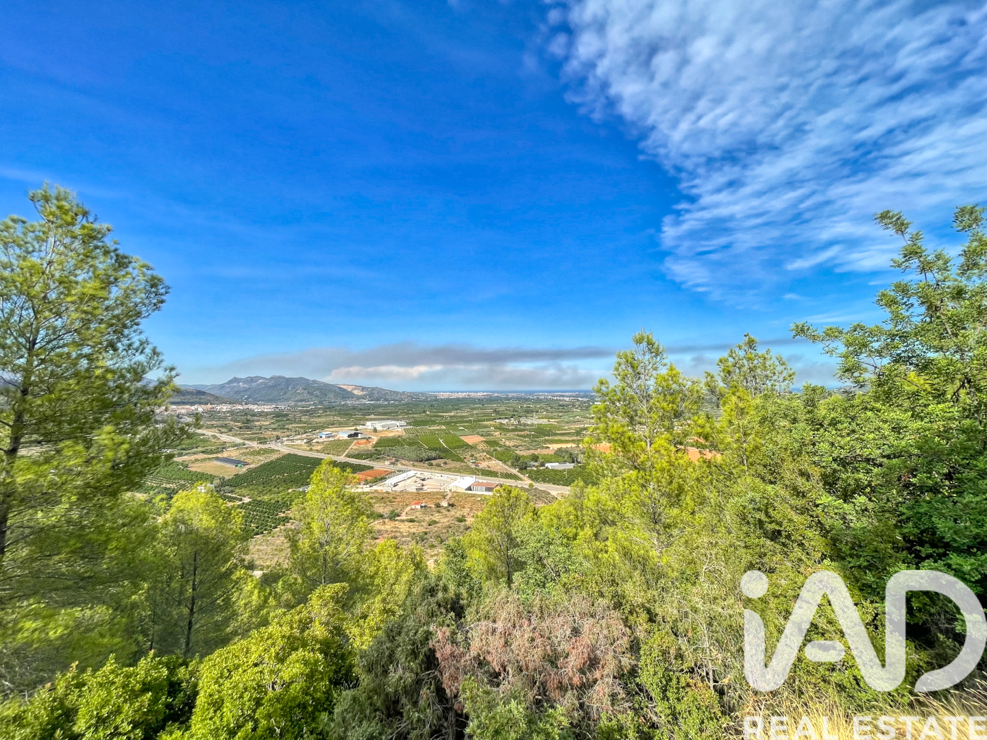 Land in Ador, Valencia, Spanien 12880 m2 Nr. 195148