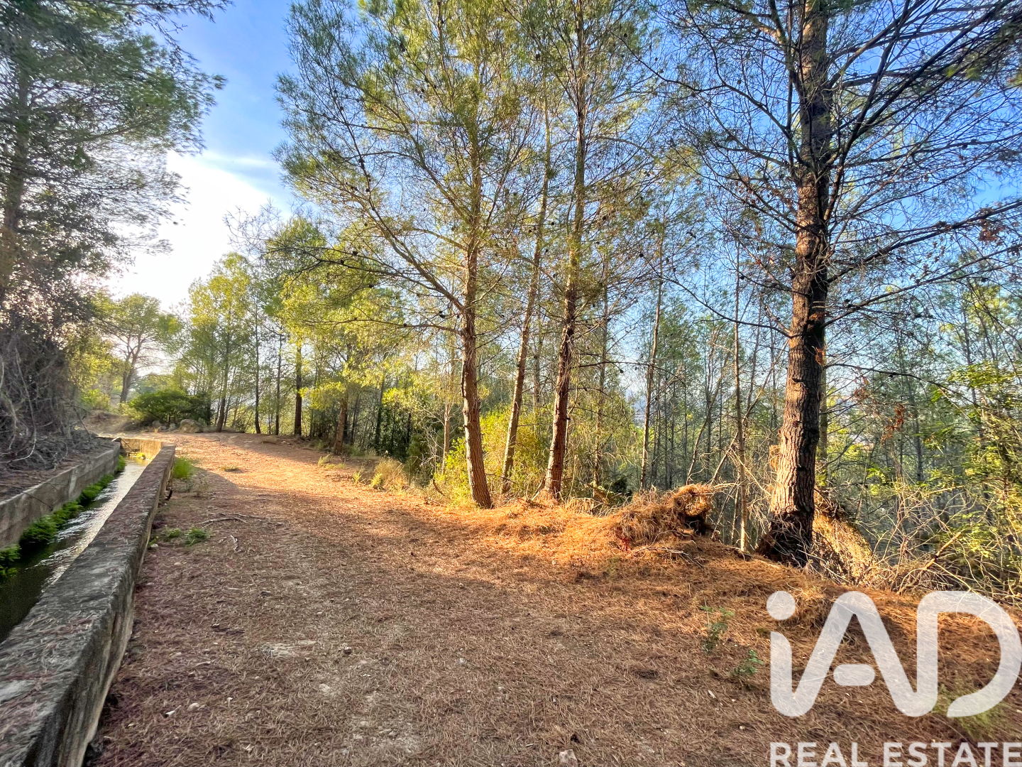 Land in Ador, Valencia, Spanien 12880 m2 Nr. 195148