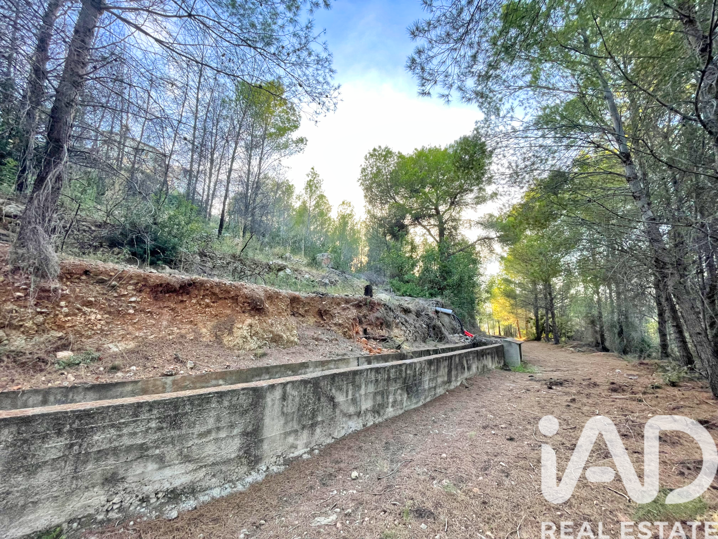 Land in Ador, Valencia, Spanien 12880 m2 Nr. 195148