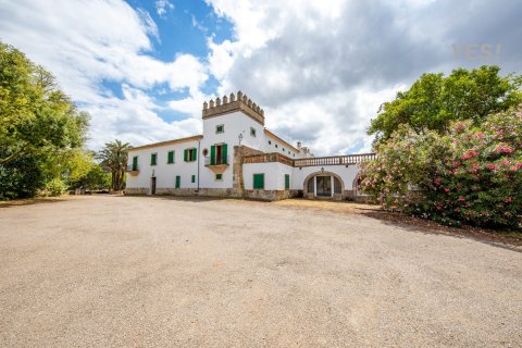 Huvila Maria De La Salut, Mallorca, Espanja 11 makuuhuonetta, 1250 m2 No. 148131