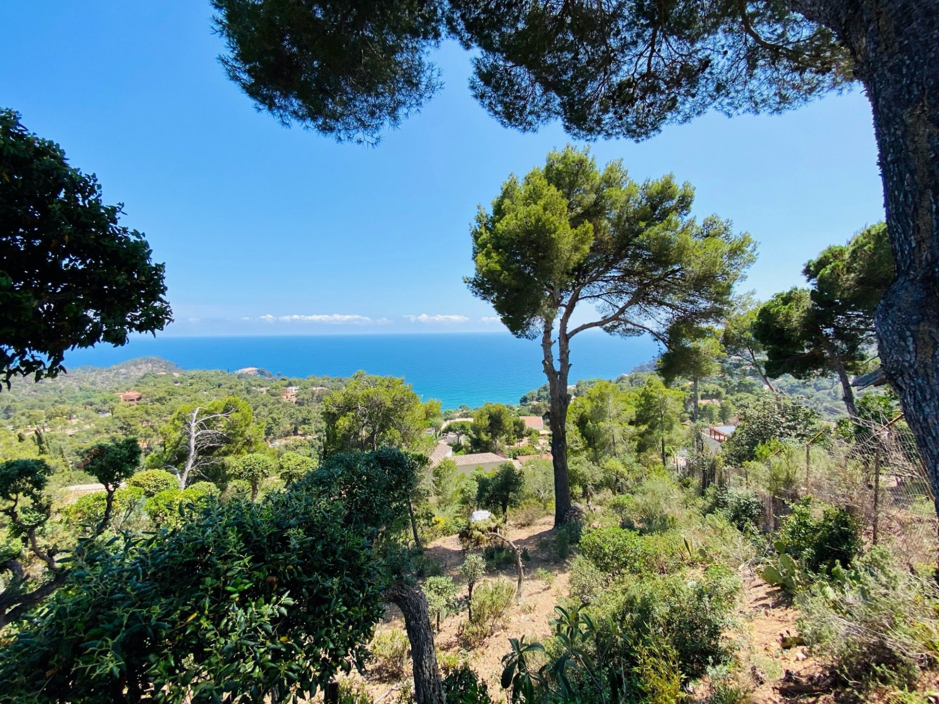 Hus i Tossa de Mar, Girona, Spanien 5 sovrum, 351 kvm. Nr. 73104