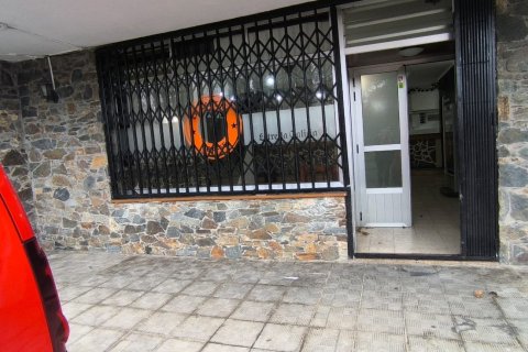 Commercial property in Naron, A Coruna, Spain 172 sq.m. No. 185316