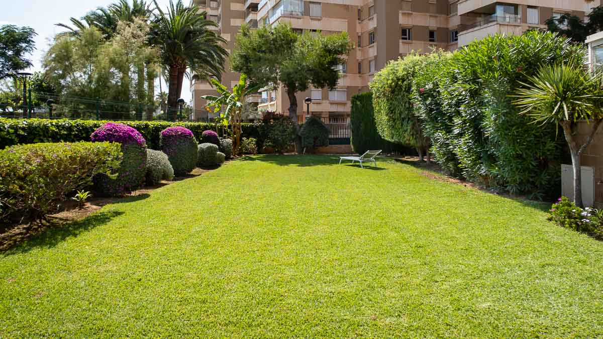 Apartment à Palma de Majorca, Mallorca, Espagne 3 chambres, 105 m2 No. 178282