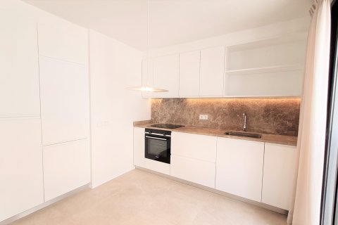 Apartamento en Palma de Mallorca, Mallorca, España 1 dormitorio, 56 m2 No. 178281